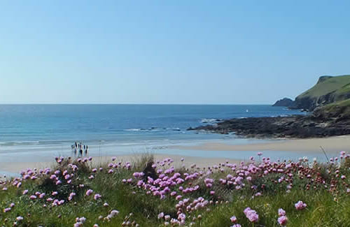 Three luxury self catering holiday cottages near the beaches of Polzeath, Daymer Bay and Harlyn Bay